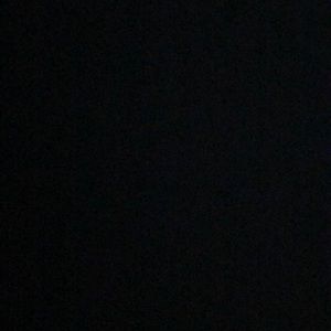 Meet your Posher, Hayden